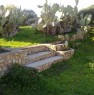 foto 9 - Villino immerso nel verde La Maddalena a Olbia-Tempio in Affitto