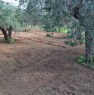 foto 9 - Terreno agricolo Gerbetto di Ulivi Partinico a Palermo in Vendita