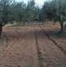 foto 6 - Terreno agricolo Gerbetto di Ulivi Partinico a Palermo in Vendita