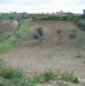 foto 3 - Terreno agricolo zona san Michele di Plaiano a Sassari in Vendita