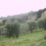 foto 4 - Appezzamento di terreno coltivato a Chiaromonte a Potenza in Vendita
