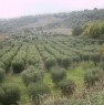 foto 0 - Appezzamento di terreno coltivato a Chiaromonte a Potenza in Vendita