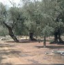 foto 0 - Terreno agricolo a Squinzano a Lecce in Vendita