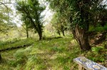 Annuncio vendita Villetta con giardino a Ragalna