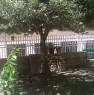 foto 1 - Loft con giardino a Salerno in Affitto