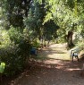 foto 4 - Periodo estivo casa con giardino Marina di Maratea a Potenza in Affitto