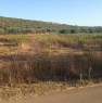 foto 6 - Terreno a nell'agro di Olmedo a Sassari in Vendita