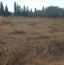 foto 3 - Terreno a nell'agro di Olmedo a Sassari in Vendita