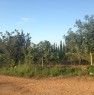 foto 2 - Terreno a nell'agro di Olmedo a Sassari in Vendita
