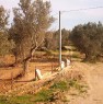 foto 3 - Terreno agricolo con fabbricato in Borgia  a Catanzaro in Vendita