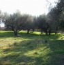 foto 0 - Terreno agricolo ad Auletta a Salerno in Vendita
