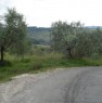 foto 3 - Uliveta sita nelle alte colline sanminiatesi a Pisa in Vendita