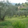 foto 1 - Uliveta sita nelle alte colline sanminiatesi a Pisa in Vendita