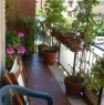 foto 3 - Ampio appartamento Ostia Lido a Roma in Affitto
