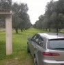foto 8 - Terreno edificabile a Carovigno a Brindisi in Vendita