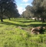 foto 7 - Terreno edificabile a Carovigno a Brindisi in Vendita