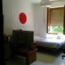foto 6 - Appartamento con garage e cantina ben rifinito a Prato in Vendita