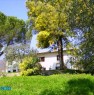 foto 2 - Casale podere a Monsummano Terme da privato a Pistoia in Vendita