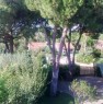 foto 5 - Villino nel verde Marina Velca a Tarquinia a Viterbo in Affitto
