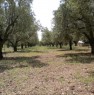 foto 3 - Terreno agricolo a Vittoria a Ragusa in Vendita