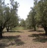 foto 2 - Terreno agricolo a Vittoria a Ragusa in Vendita