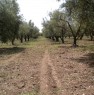 foto 0 - Terreno agricolo a Vittoria a Ragusa in Vendita