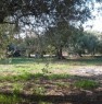 foto 7 - Villetta fattoria a Campofelice di Roccella a Palermo in Vendita