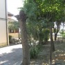 foto 3 - Abitazione singola in periferia zona ospedale a Rovigo in Vendita