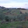 foto 6 - Terreno irrigabile a San Giovanni Teatino a Chieti in Vendita