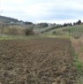 foto 2 - Terreno irrigabile a San Giovanni Teatino a Chieti in Vendita