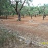 foto 9 - Terreno agricolo a Casarano a Lecce in Vendita