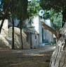 foto 5 - Antico Baglio siciliano Erice a Trapani in Vendita