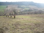 Annuncio vendita Terreno agricolo a Campofilone