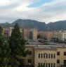foto 2 - Bilocale zona Ospedale Civico a Palermo in Affitto