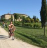 foto 3 - Struttura rurale a Pienza a Siena in Affitto
