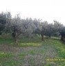foto 0 - Terreno agricolo a Lamezia Terme a Catanzaro in Vendita