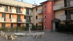 Annuncio vendita Trilocale a Fornovo San Giovanni