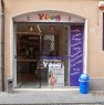 foto 2 - Attivit di yogurteria gelateria centro storico a Modena in Vendita
