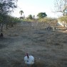 foto 0 - Lotto di terreno da privato in contrada Nubia a Trapani in Vendita
