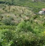 foto 5 - Podere coltivato a Monreale a Palermo in Vendita