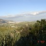 foto 2 - Podere coltivato a Monreale a Palermo in Vendita