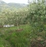 foto 0 - Podere coltivato a Monreale a Palermo in Vendita