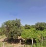 foto 1 - Terreno agricolo sito in contrada Fossato a Chieti in Vendita