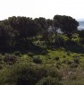 foto 5 - Terreno agricolo a Masoni De Susu a Cagliari in Vendita