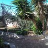 foto 11 - Abitazione con giardino a Salve a Lecce in Vendita