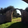 foto 7 - Antica liama a Salve a Lecce in Vendita