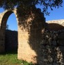 foto 2 - Antica liama a Salve a Lecce in Vendita