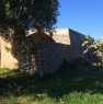 foto 1 - Antica liama a Salve a Lecce in Vendita