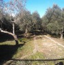 foto 2 - Lotto di terreno a Serra a Lecce in Vendita