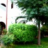 foto 8 - Casa vacanza in Borgo Lido San Basilio a Matera in Affitto